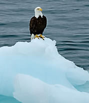 Alaska, where nature reigns supreme